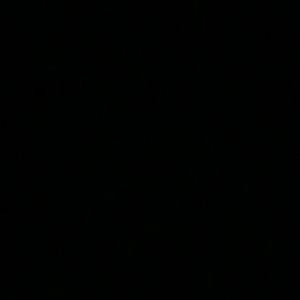 Meet your Posher, Jayden